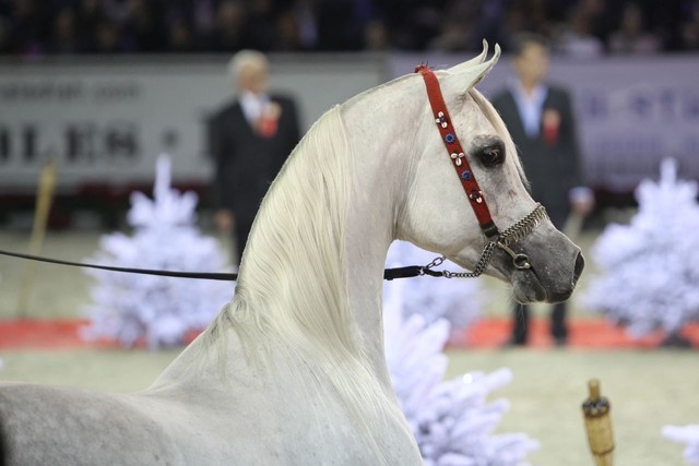 2010 Paris World Championships | Day 3