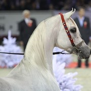 2010 Paris World Championships | Day 3