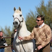 Scottsdale Arabian Horse Farm Tours