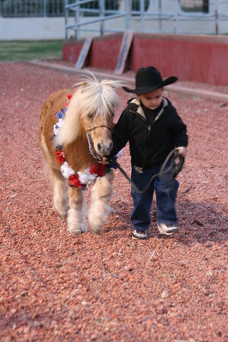 Scottsdale Arabian Horse Farm Tours