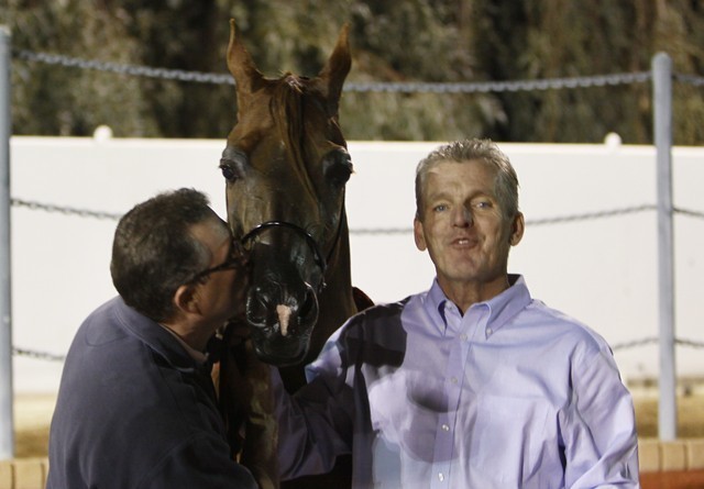 Scottsdale Arabian Horse Farm Tours