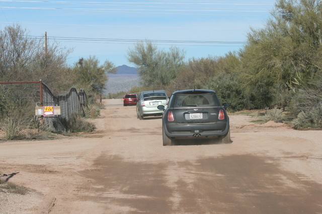 Scottsdale Arabian Horse Farm Tours