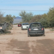 Scottsdale Arabian Horse Farm Tours