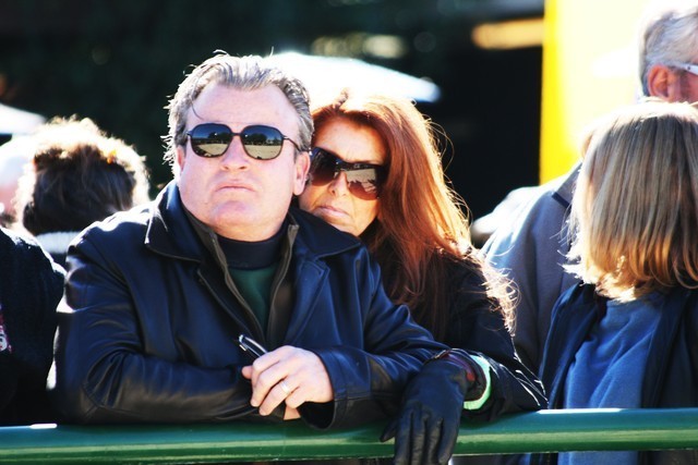 Scottsdale Arabian Horse Farm Tours