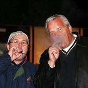 Scottsdale Arabian Horse Farm Tours