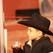 Scottsdale Arabian Horse Farm Tours