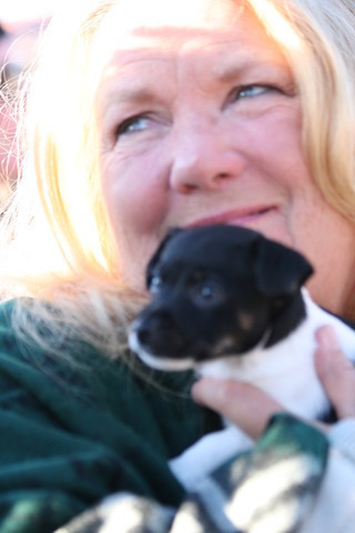 Scottsdale Arabian Horse Farm Tours