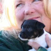 Scottsdale Arabian Horse Farm Tours