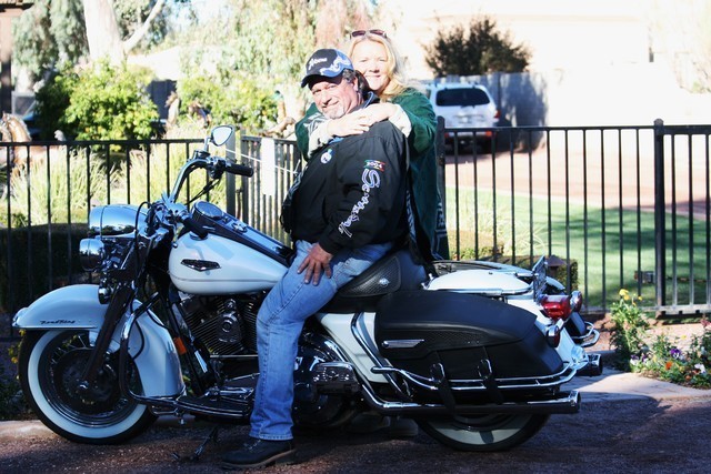 Scottsdale Arabian Horse Farm Tours