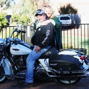 Scottsdale Arabian Horse Farm Tours