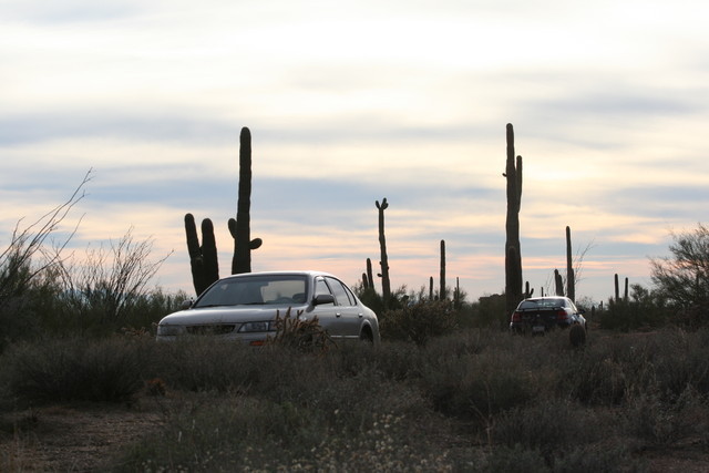 Scottsdale Arabian Horse Farm Tours