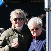 Scottsdale Arabian Horse Farm Tours