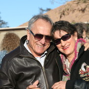 Scottsdale Arabian Horse Farm Tours