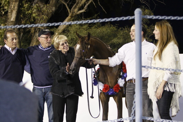 Scottsdale Arabian Horse Farm Tours