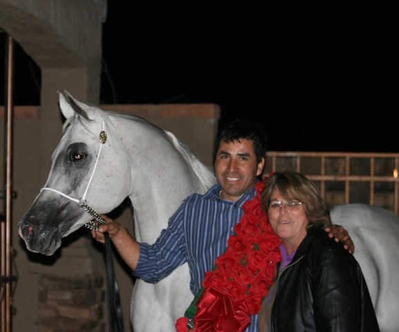 Scottsdale Arabian Horse Farm Tours