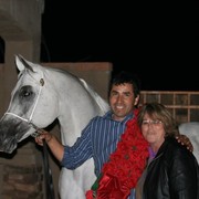 Scottsdale Arabian Horse Farm Tours