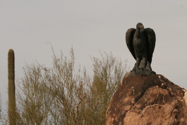 Scottsdale Arabian Horse Farm Tours