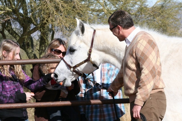 Scottsdale Arabian Horse Farm Tours