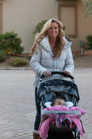 Scottsdale Arabian Horse Farm Tours