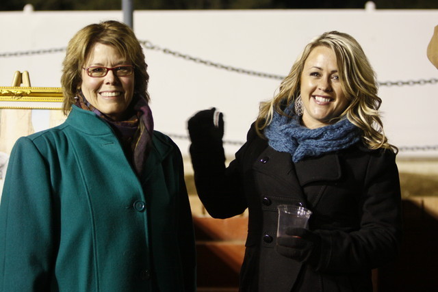 Scottsdale Arabian Horse Farm Tours