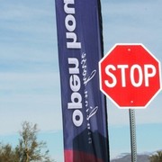 Scottsdale Arabian Horse Farm Tours