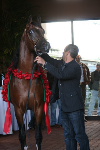Scottsdale Arabian Horse Farm Tours