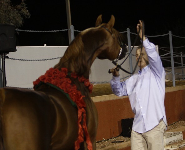 Scottsdale Arabian Horse Farm Tours