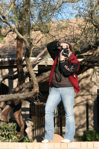 Scottsdale Arabian Horse Farm Tours