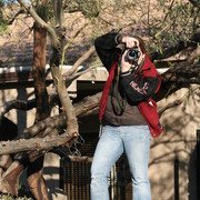 Scottsdale Arabian Horse Farm Tours