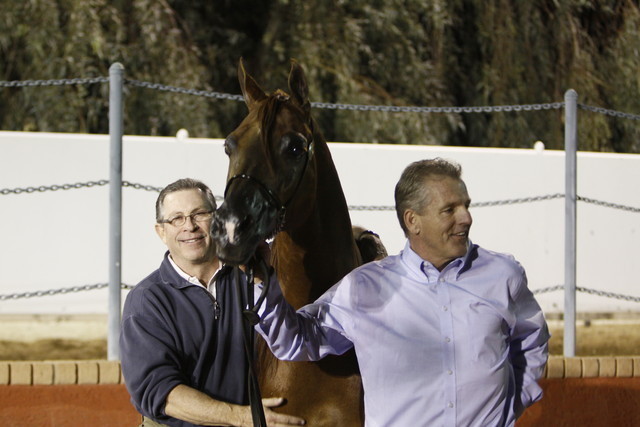 Scottsdale Arabian Horse Farm Tours