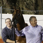 Scottsdale Arabian Horse Farm Tours