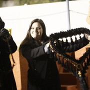 Scottsdale Arabian Horse Farm Tours