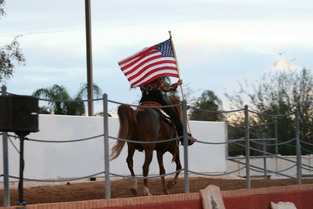 Scottsdale Arabian Horse Farm Tours