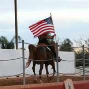 Scottsdale Arabian Horse Farm Tours
