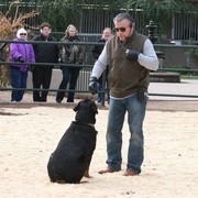 Scottsdale Arabian Horse Farm Tours