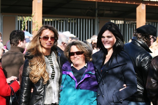 Scottsdale Arabian Horse Farm Tours