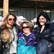 Scottsdale Arabian Horse Farm Tours