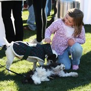 Scottsdale Arabian Horse Farm Tours