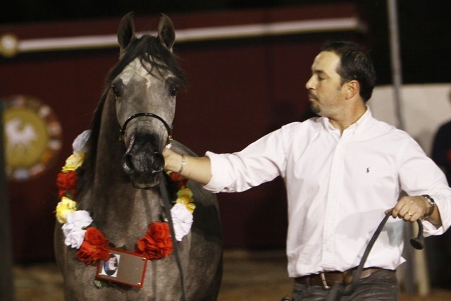 Scottsdale Arabian Horse Farm Tours