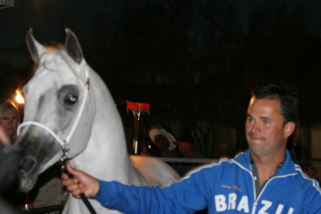 Scottsdale Arabian Horse Farm Tours