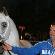 Scottsdale Arabian Horse Farm Tours