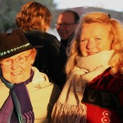 Scottsdale Arabian Horse Farm Tours