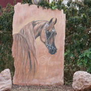 Scottsdale Arabian Horse Farm Tours