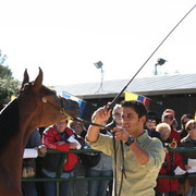 Scottsdale Arabian Horse Farm Tours
