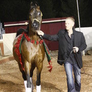 Scottsdale Arabian Horse Farm Tours