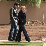 Scottsdale Arabian Horse Farm Tours