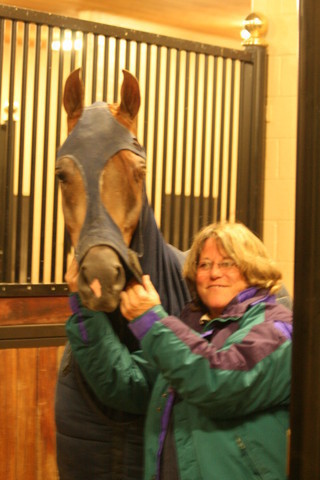 Scottsdale Arabian Horse Farm Tours