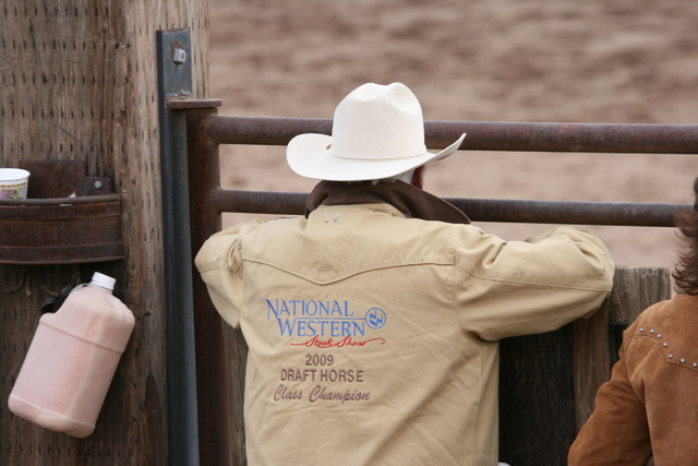 Scottsdale Arabian Horse Farm Tours