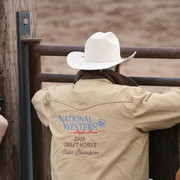 Scottsdale Arabian Horse Farm Tours