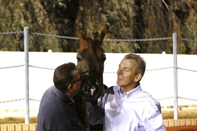 Scottsdale Arabian Horse Farm Tours